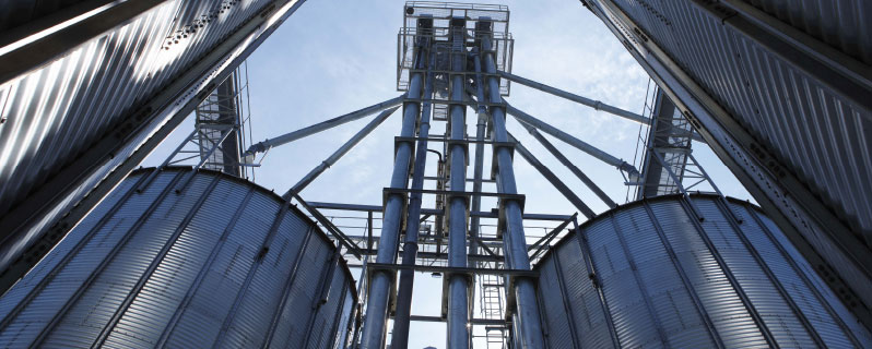 BIOGENTA stellt unter anderem Biomasse für den Einsatz in Biogasanlagen zur Verfügung